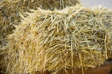 Haystack texture. Hay Stock Photos