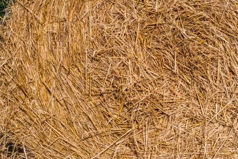 Haystack texture. hay twisted into a roll on the field. summer sunny day. 写真素材