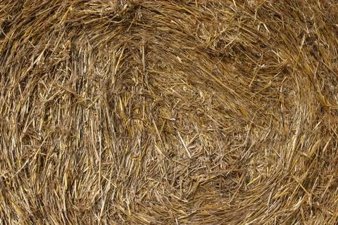 Haystack texture Stock Photos