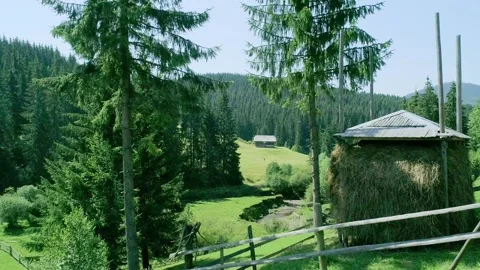 Haystack under roof, summer landscape fresh green Stock Footage 281649356