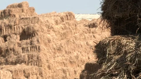 Haystack  in village 2 Video stock 311646396
