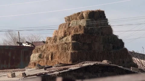 Haystack  in village 9 Stock Footage 311646417