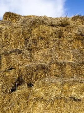 Haystack in the village against the blue sky, food for livestock, hay cubes 库存照片