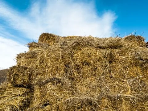 Haystack in the village against the blue sky, food for livestock, hay cubes 库存照片