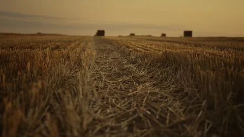Haystack wheat field landscape at golden autumn sunset. Walking farmer view. Stock Photos
