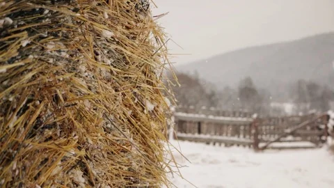Haystack in winter on the farm under snow 스톡 동영상 70597088
