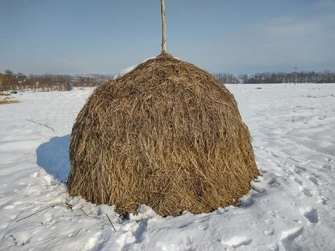 Haystack in the winter in Maramures, Romania 스톡 사진