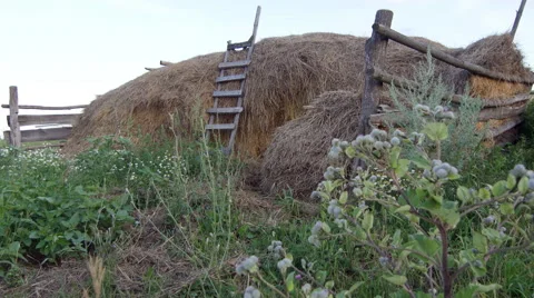 Haystack, Wooden Staircase attached to it Stock Footage 60962167
