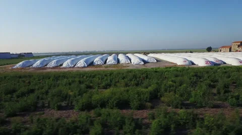 Haystacks from above Stock Footage 64626820