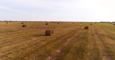Haystacks and grass Video stock 134152954