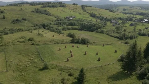 Haystacks collected by villagers for drying. Multi clips Stock Footage 138207785