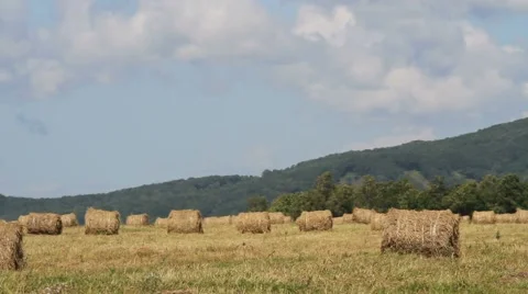 Haystacks on the field Stock Footage 54712911