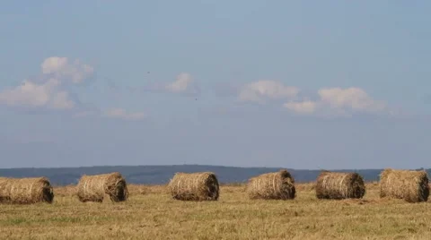 Haystacks on the field Stock Footage 54712938