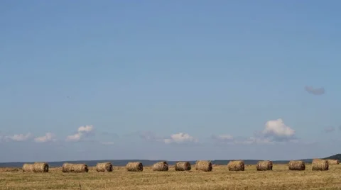 Haystacks on the field Stock Footage 54712954