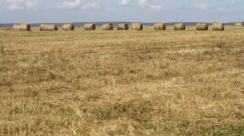 Haystacks on the field Stock Footage 54712985