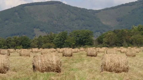 Haystacks on the field Stock Footage 54713036