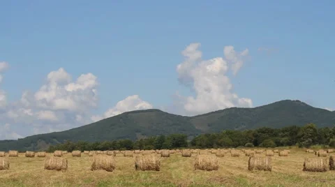 Haystacks on the field Stock Footage 54713067