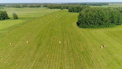 Haystacks in the field Stock Footage 92199329