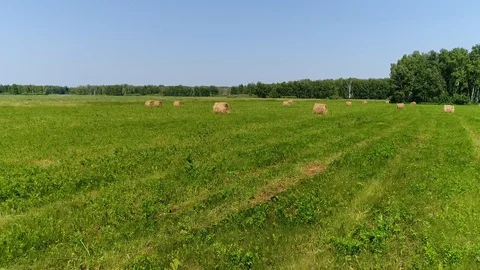 Haystacks On The Field Stock Footage 92199490
