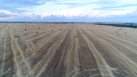 Haystacks on the field 스톡 동영상 103425027