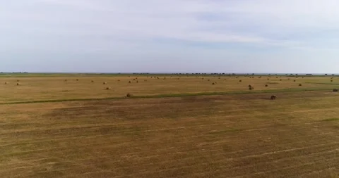 Haystacks in the field Stock Footage 134152981