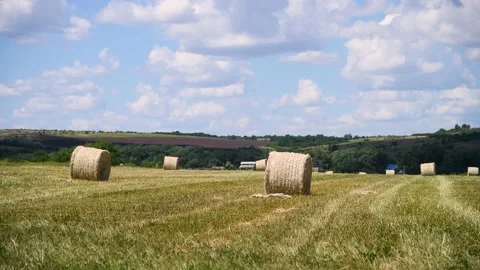Haystacks in the field Stock Footage 225324892