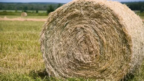 Haystacks in the field Stockbeeldmateriaal 225324980