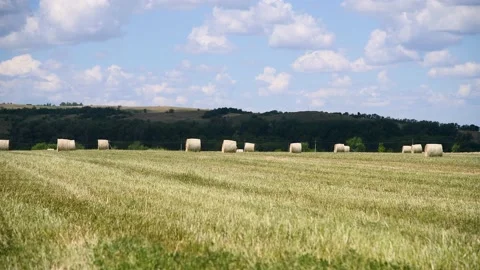 Haystacks in the field Stockbeeldmateriaal 237713264