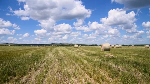 Haystacks in the field Vídeo Stock 253666953
