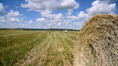 Haystacks in the field Stock Footage 310052824