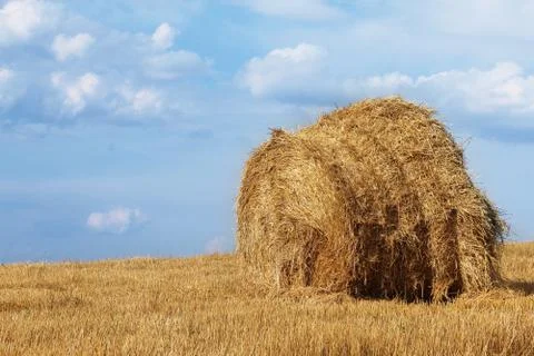 Haystacks in the field Stock Photos