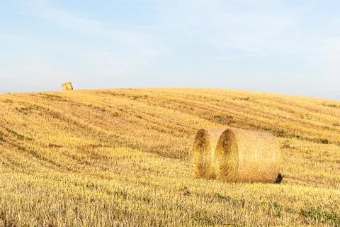 Haystacks in the field Stock Photos