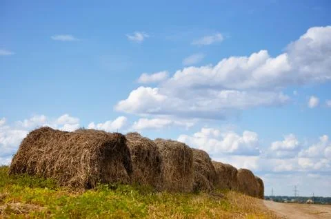Haystacks in a field Stock Photos