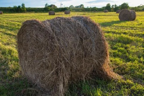 Haystacks in a field Stock Photos