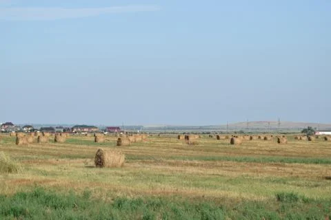 Haystacks in the field Foto stock
