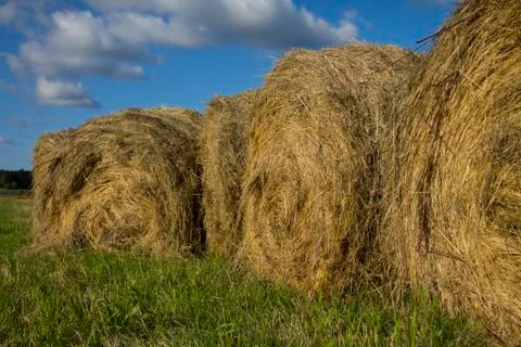 Haystacks in the Field Stock Photos