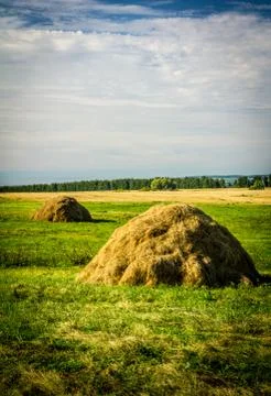 Haystacks in a field Stock Photos
