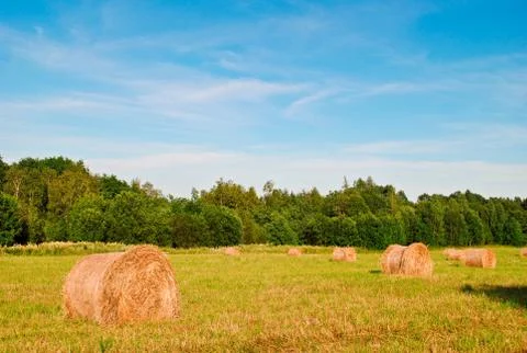 Haystacks in a field Stock Photos