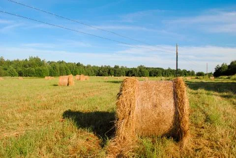 Haystacks on the field Stock Photos