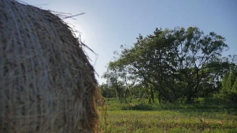Haystacks in field with tree on the background Stock Footage 95858998