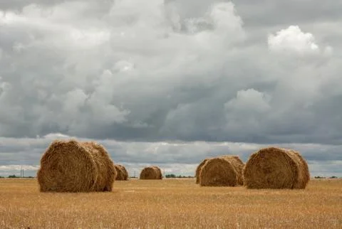 Haystacks on the field under clouds Stock Photos