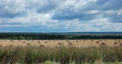 Haystacks on the field, wind sways the grass Stock Footage 62897519