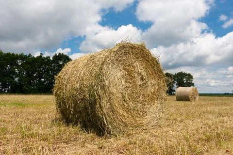 Haystacks on the filed Stock Photos
