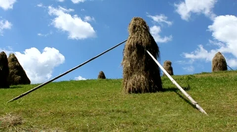 Haystacks Stock Footage 733035