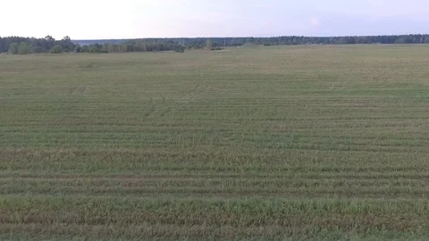 Haystacks Stock Footage 92417100