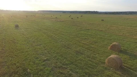 Haystacks Stock Footage 92417351
