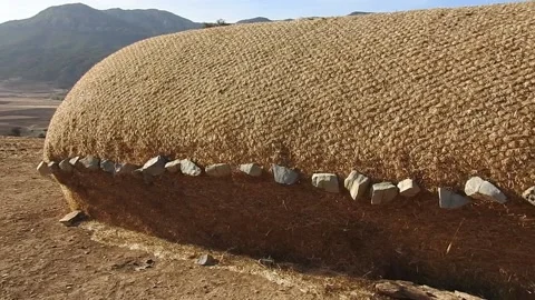 Haystacks 動画素材 165139217