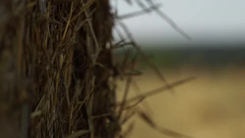 Haystacks Stock Footage 265070476