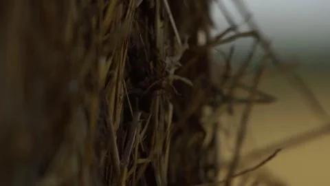Haystacks Stock Footage 265070477