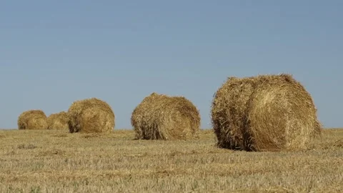 Haystacks Stock Footage 265070500